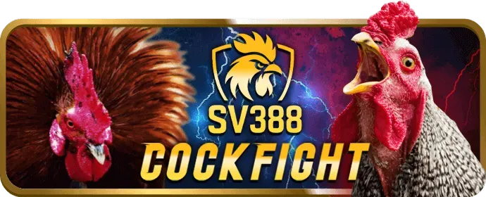Bước 3: Chọn trận đá gà ao88a